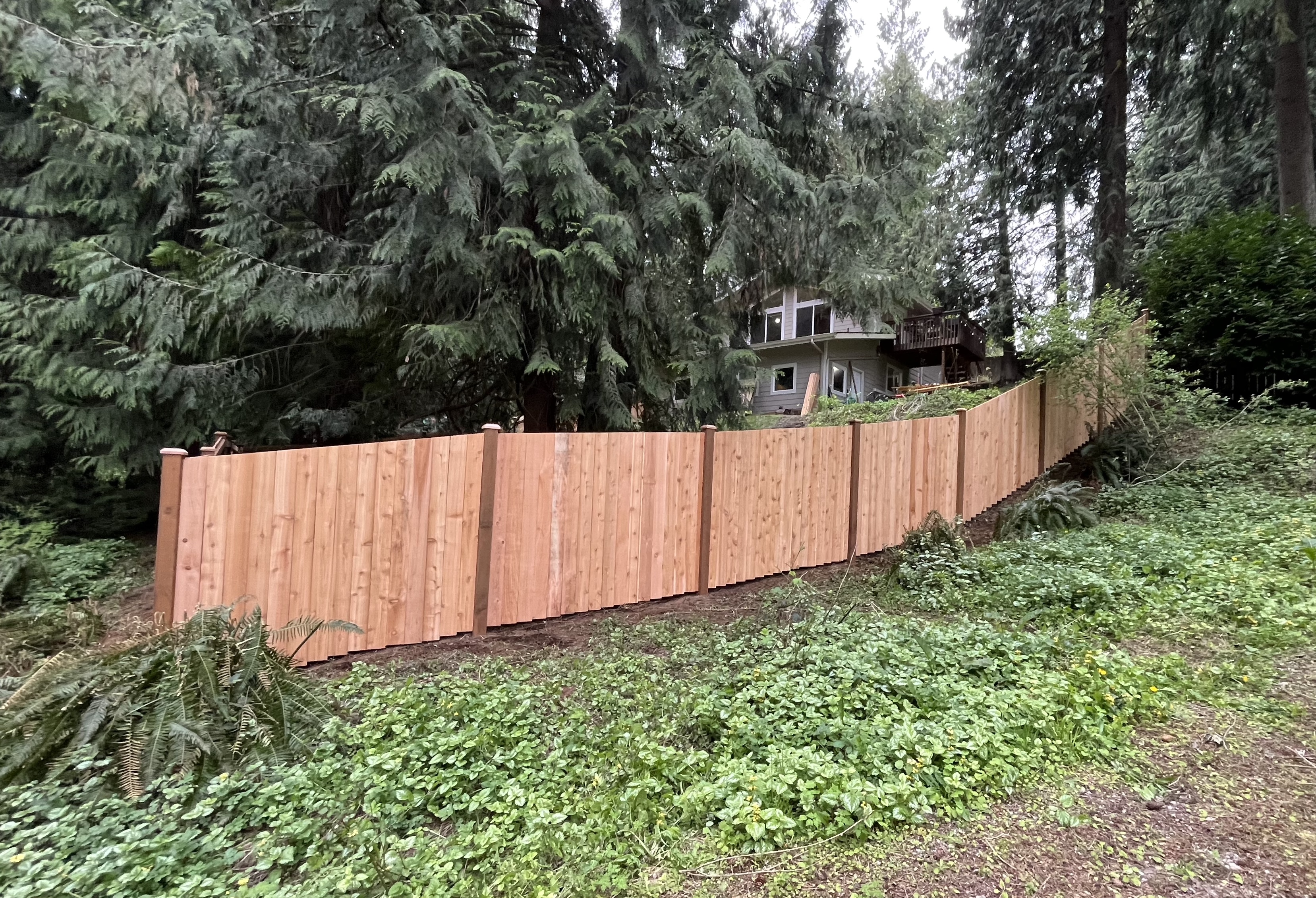 Fence project 2