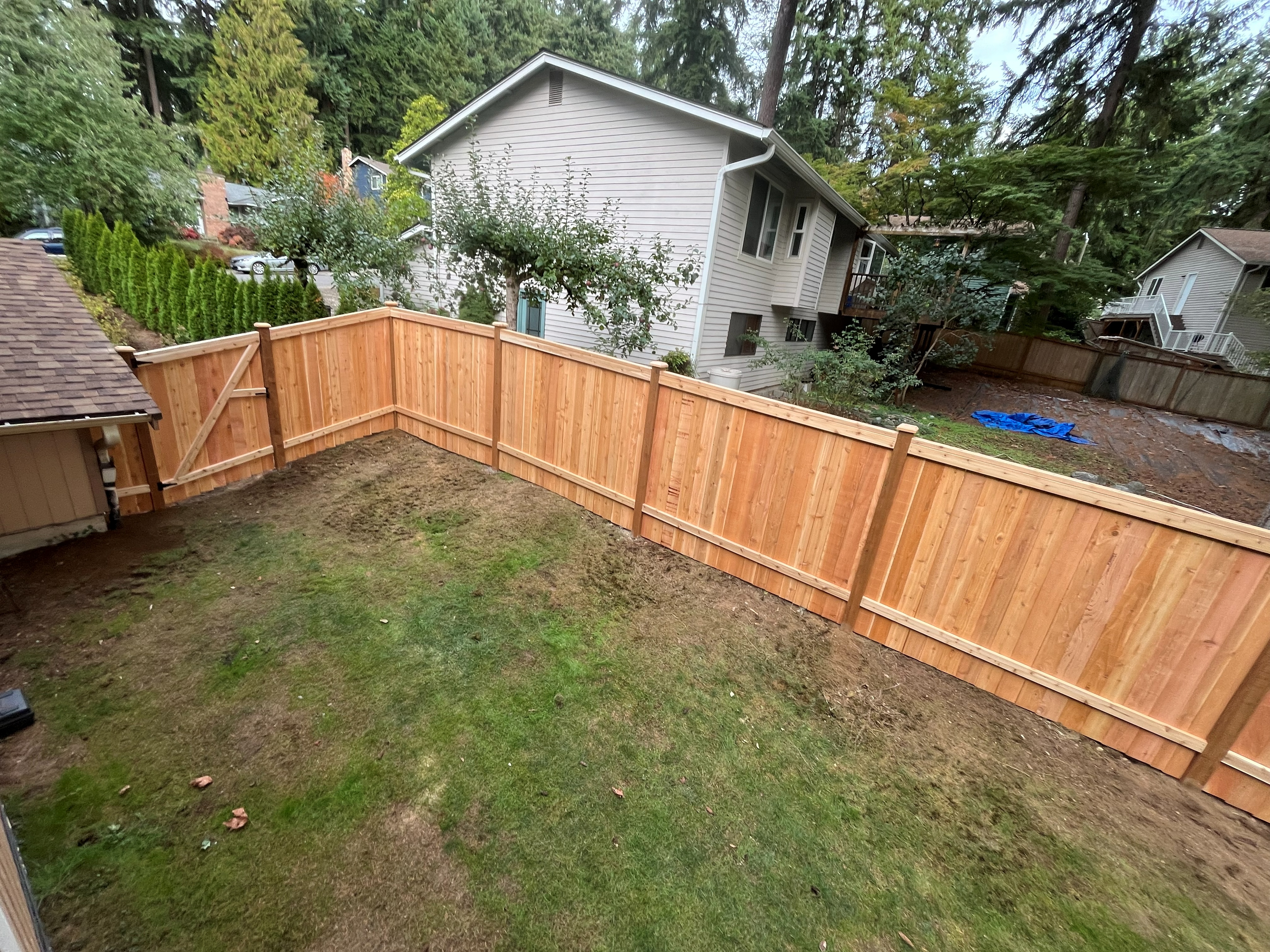 Custom cedar fence